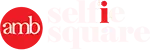 Developer