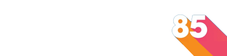 Developer