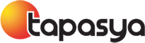 Developer