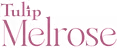 Developer