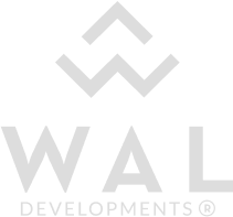 Developer